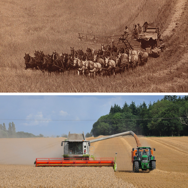 WEB Image 4-1 combine harvesters