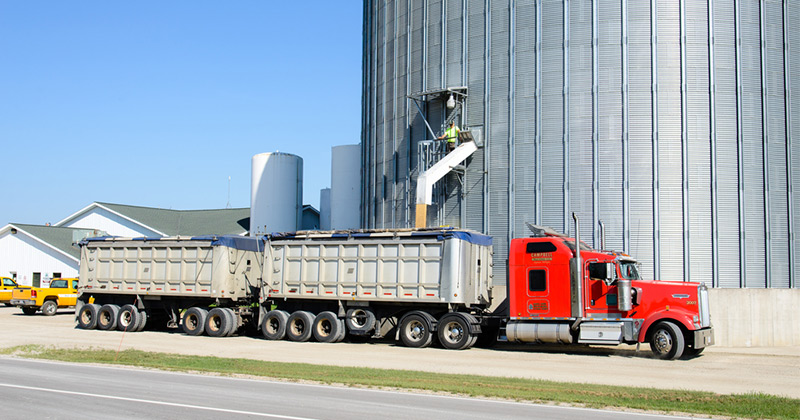 present-food-grain-silo